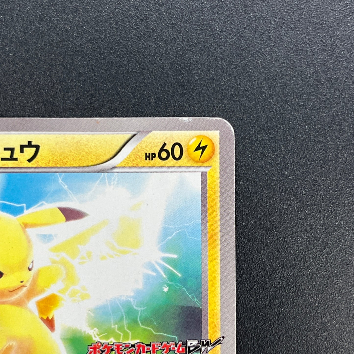 Pikachu 163/BW-P National Illustrated Encyclopedia Card