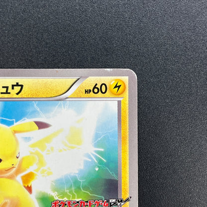 Pikachu 163/BW-P National Illustrated Encyclopedia Card