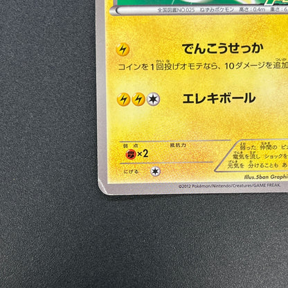 Pikachu 163/BW-P National Illustrated Encyclopedia Card