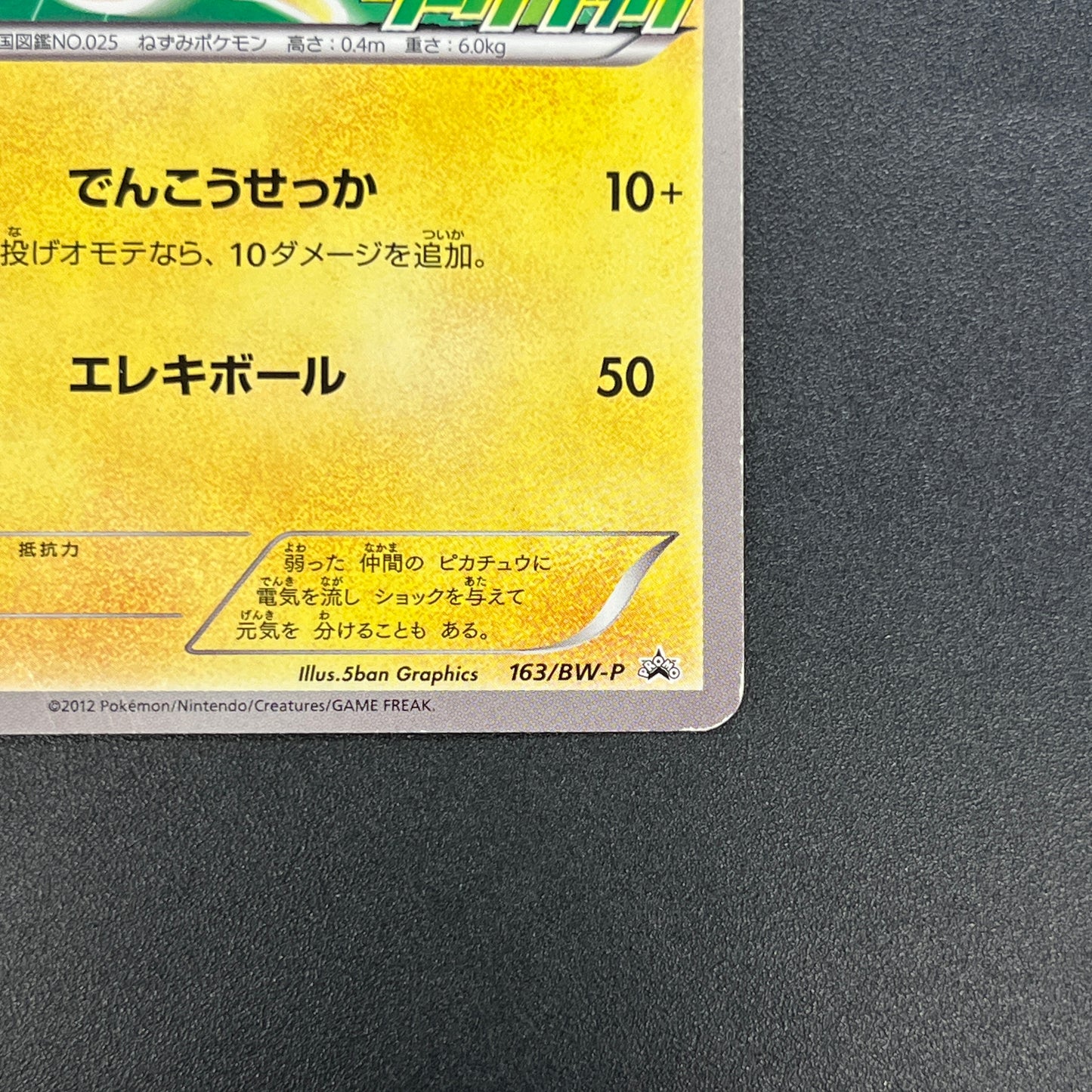 Pikachu 163/BW-P National Illustrated Encyclopedia Card