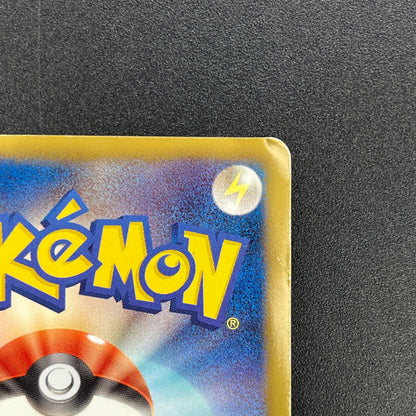 Pikachu 163/BW-P National Illustrated Encyclopedia Card