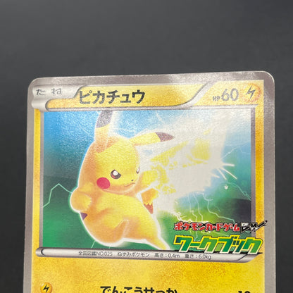 Pikachu 163/BW-P National Illustrated Encyclopedia Card