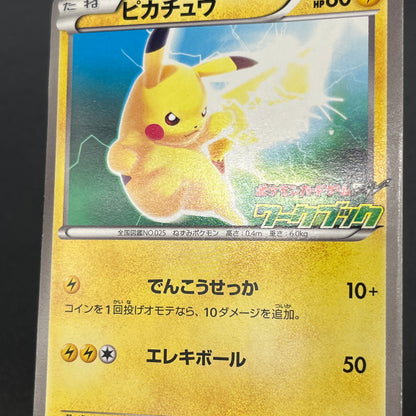 Pikachu 163/BW-P National Illustrated Encyclopedia Card