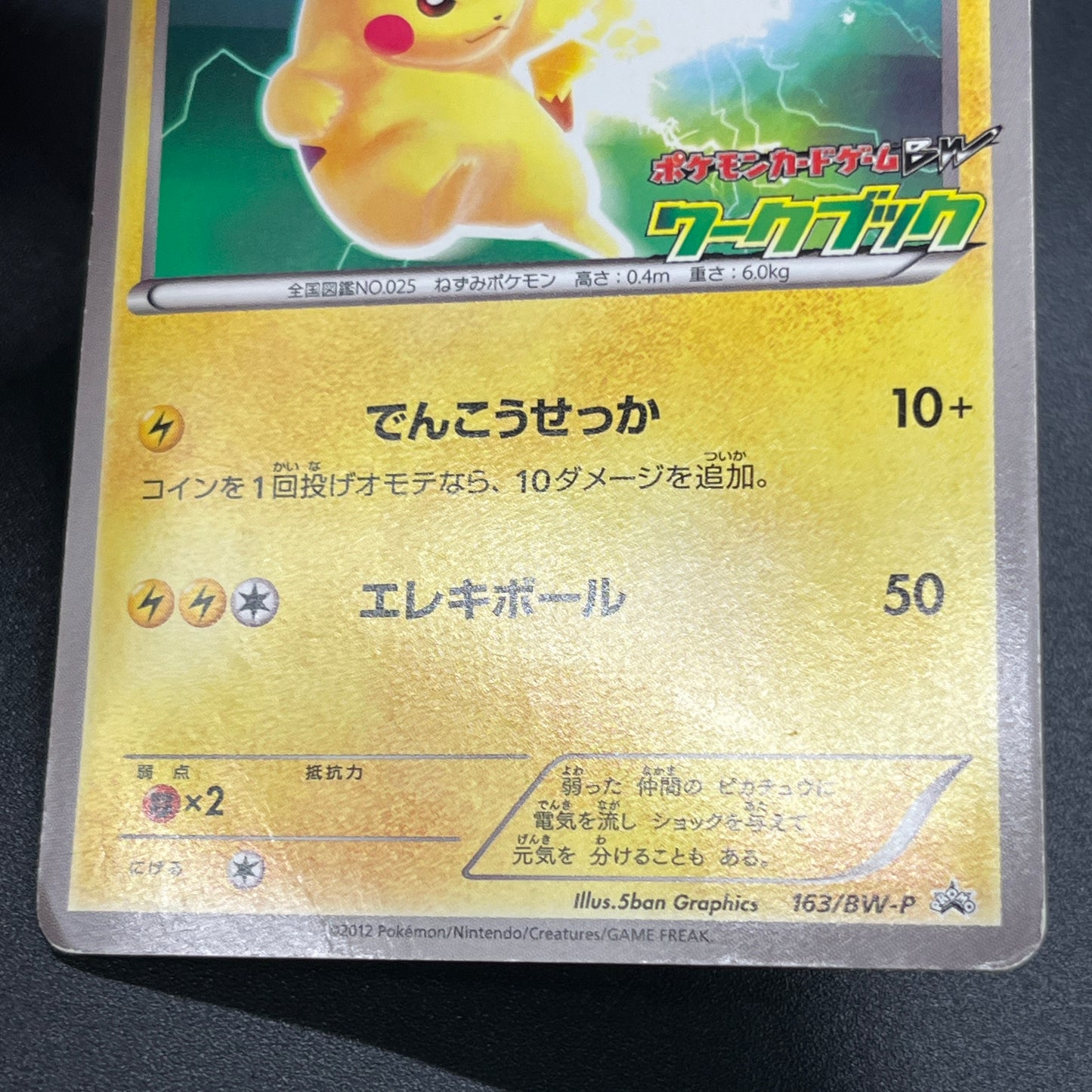 Pikachu 163/BW-P National Illustrated Encyclopedia Card