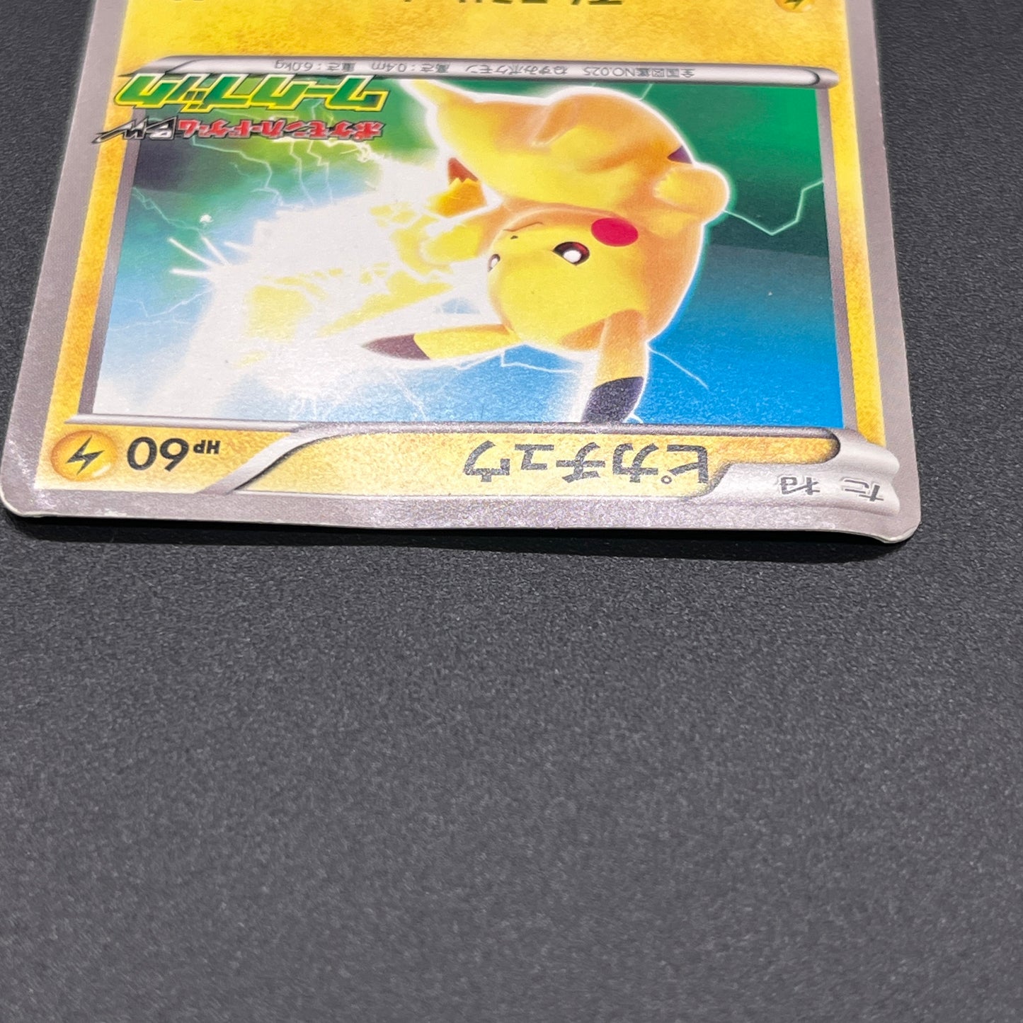 Pikachu 163/BW-P National Illustrated Encyclopedia Card