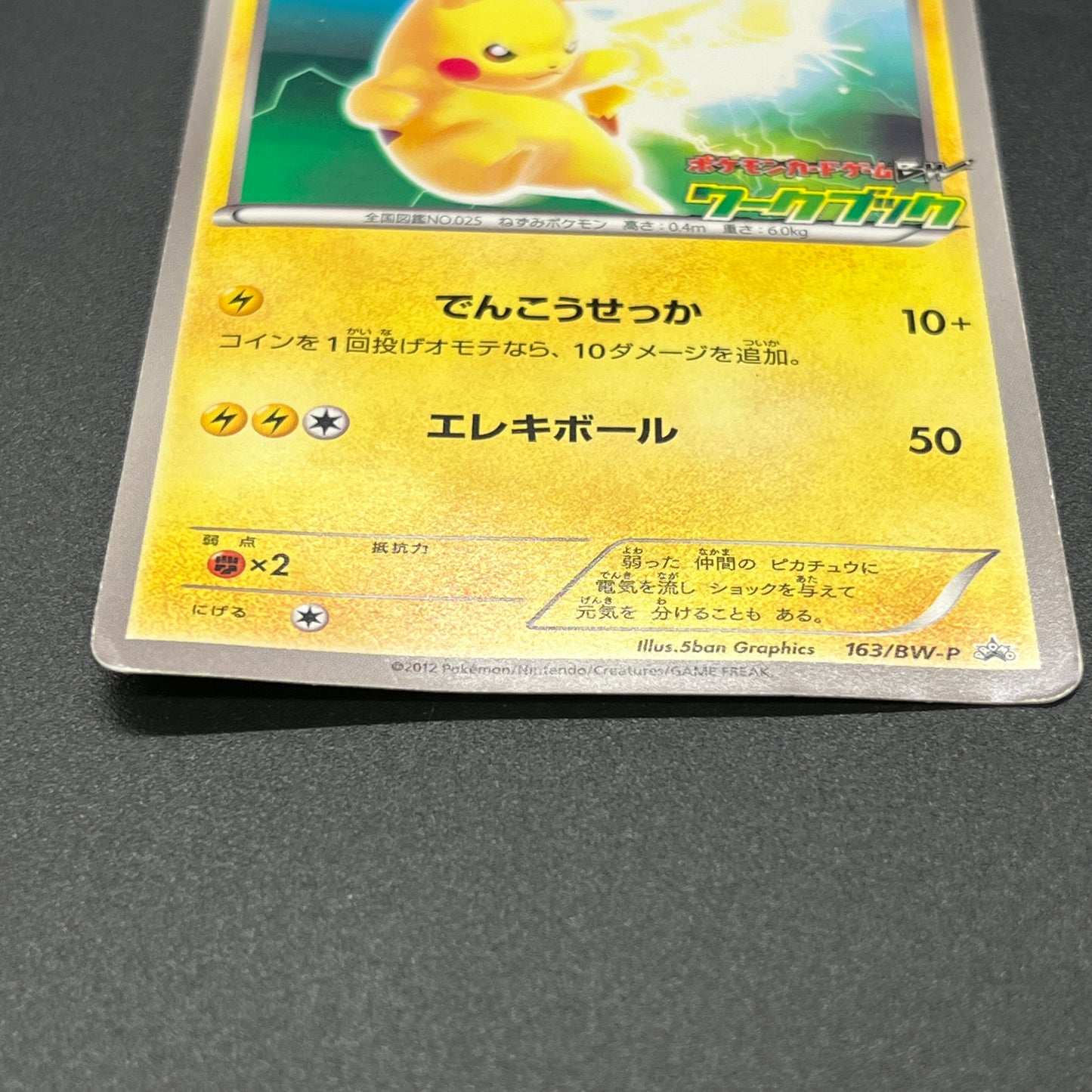 Pikachu 163/BW-P National Illustrated Encyclopedia Card