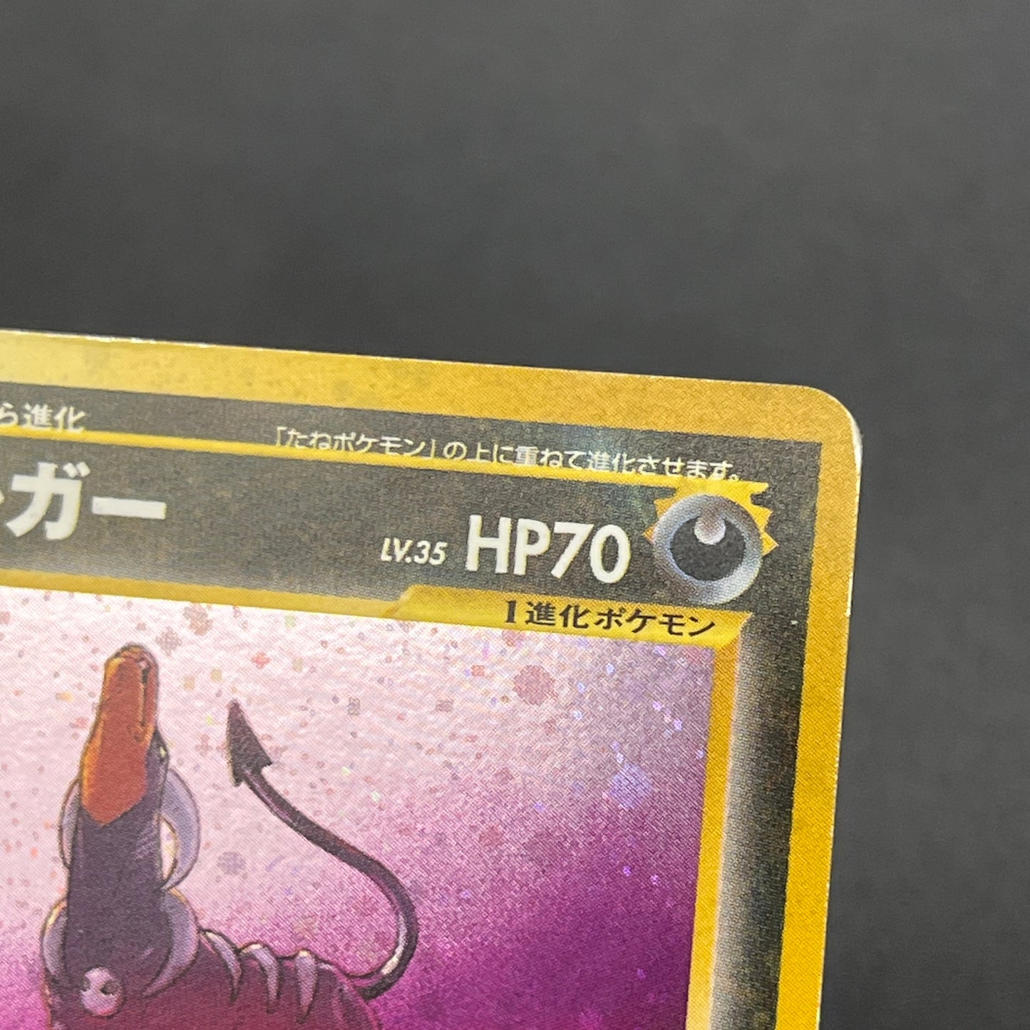 Houndoom No.229 Neo Revelation Holo Japanese Pokemon Card