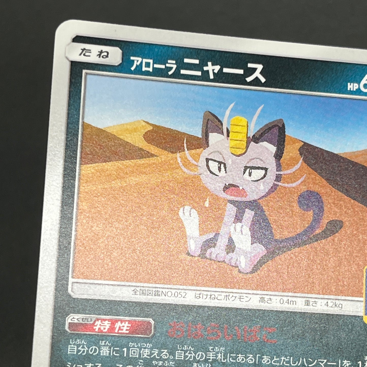 Alolan Meowth 255/SM-P 032/SM-P Promo Gym Pokemon Card