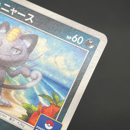 Alolan Meowth 255/SM-P 032/SM-P Promo Gym Pokemon Card
