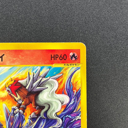 Entei 043/P JR Rally Happy Adventure Promo Pokemon Card