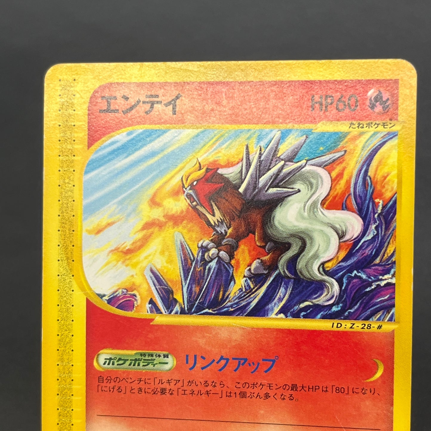 Entei 043/P JR Rally Happy Adventure Promo Pokemon Card