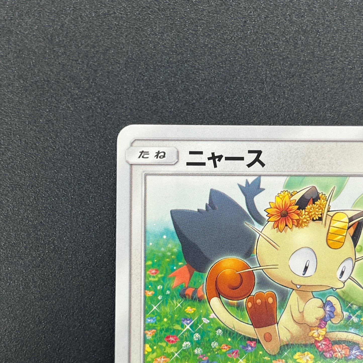 Meowth 375/SM-P Station event participation Pokemon Card