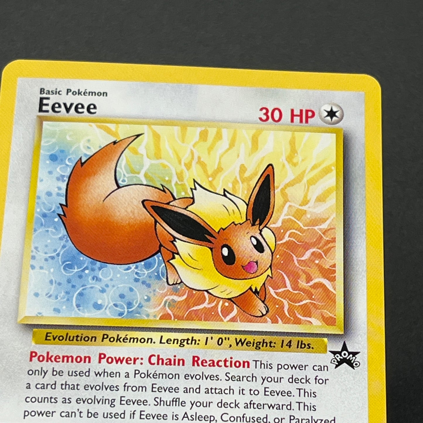 Eevee #11 JR East Stamp Rally 2000 Non-Holo Promo Card