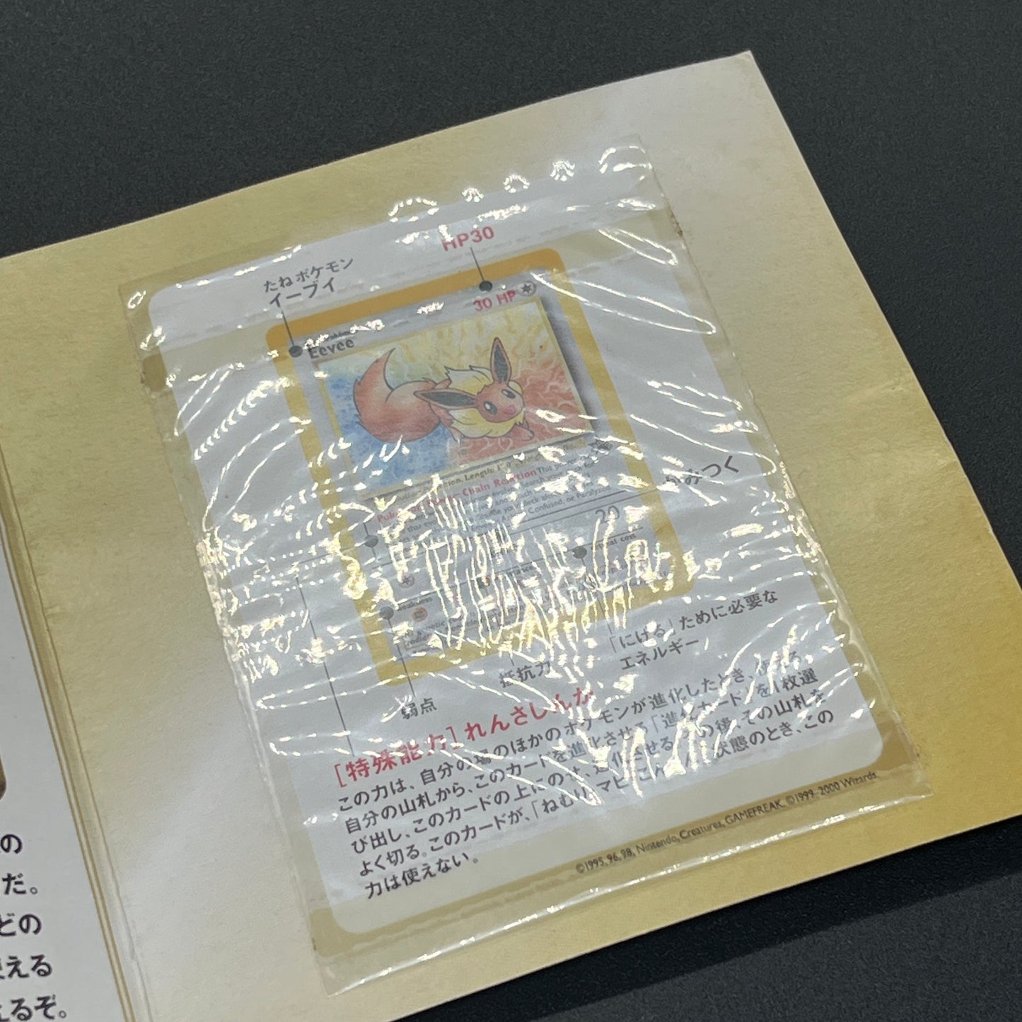 Eevee #11 JR East Stamp Rally 2000 Non-Holo Promo Card