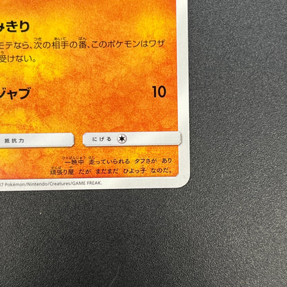 Riolu 159/SM-P Promo Gym 3rd December Pokemon Card
