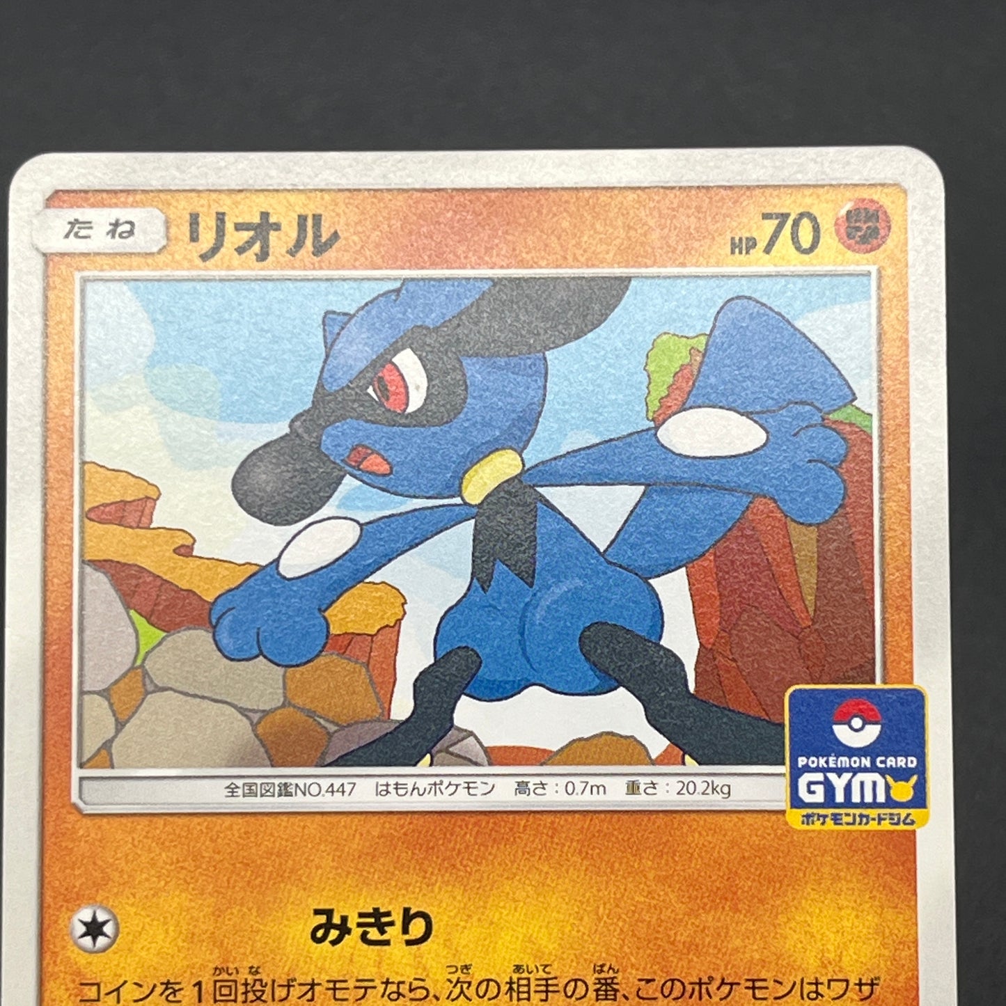 Riolu 159/SM-P Promo Gym 3rd December Pokemon Card