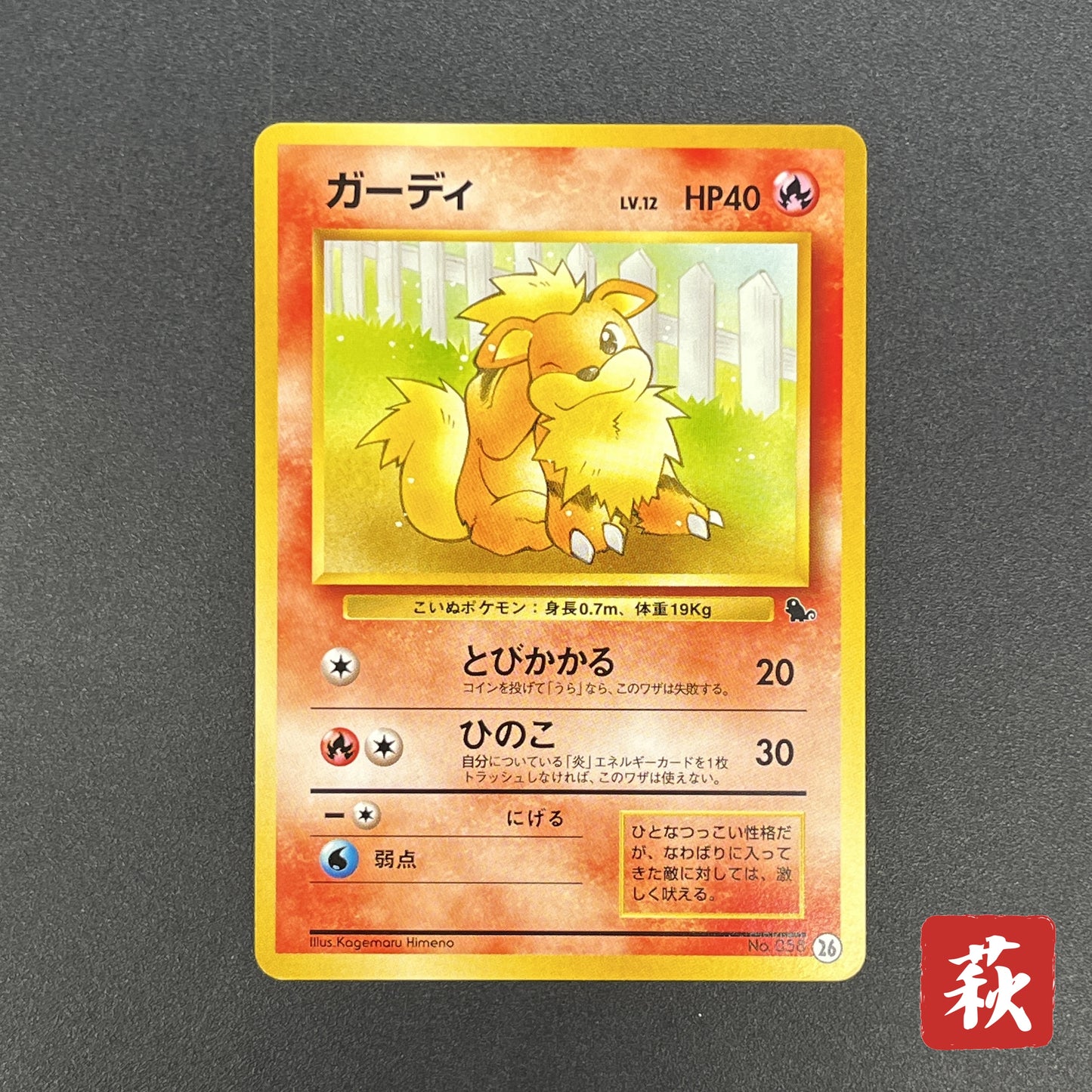 Growlithe 058 Intro Pack Squirtle Japanese Pokemon Card