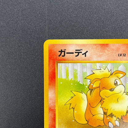 Growlithe 058 Intro Pack Squirtle Japanese Pokemon Card