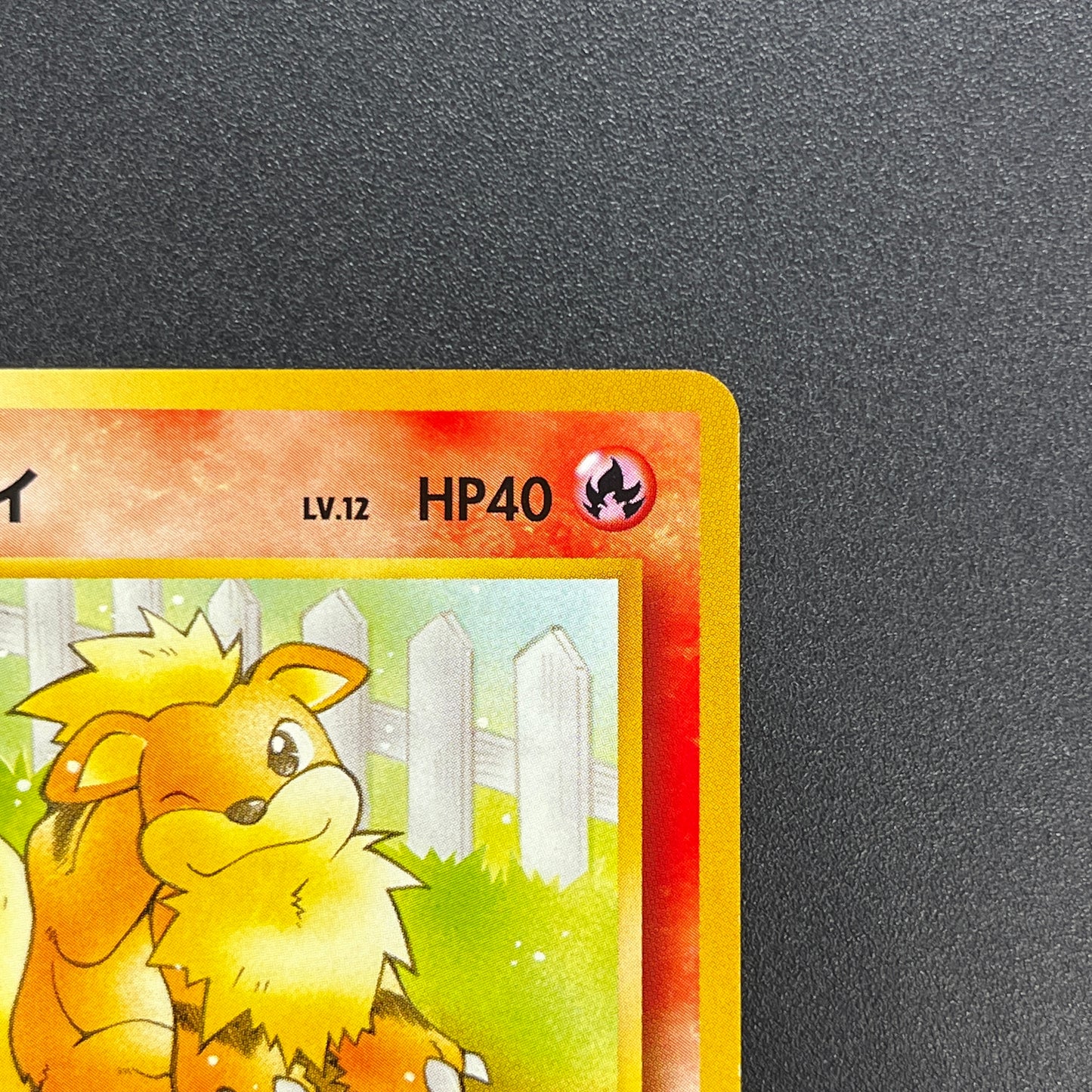 Growlithe 058 Intro Pack Squirtle Japanese Pokemon Card