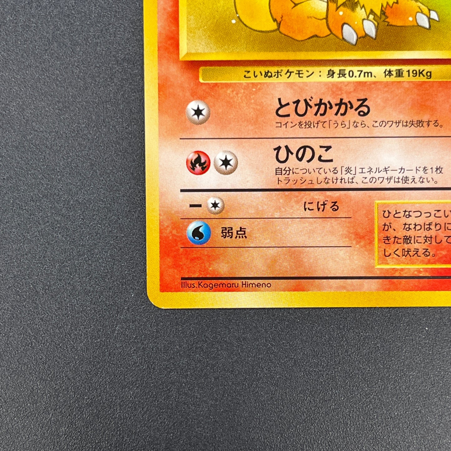 Growlithe 058 Intro Pack Squirtle Japanese Pokemon Card