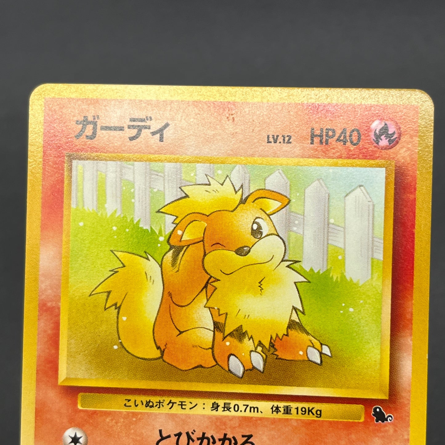 Growlithe 058 Intro Pack Squirtle Japanese Pokemon Card