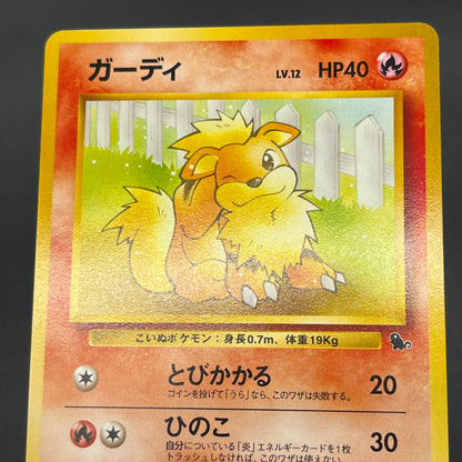 Growlithe 058 Intro Pack Squirtle Japanese Pokemon Card