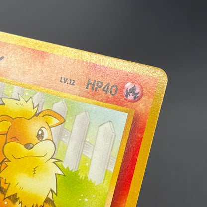 Growlithe 058 Intro Pack Squirtle Japanese Pokemon Card