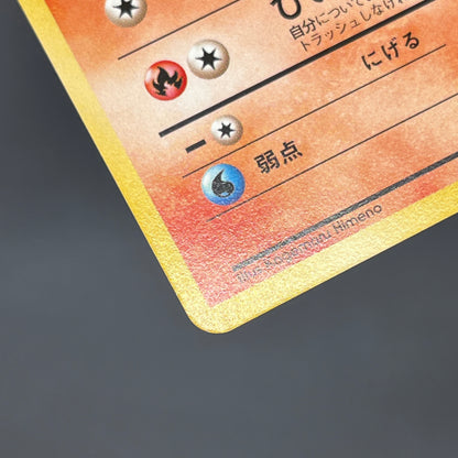 Growlithe 058 Intro Pack Squirtle Japanese Pokemon Card