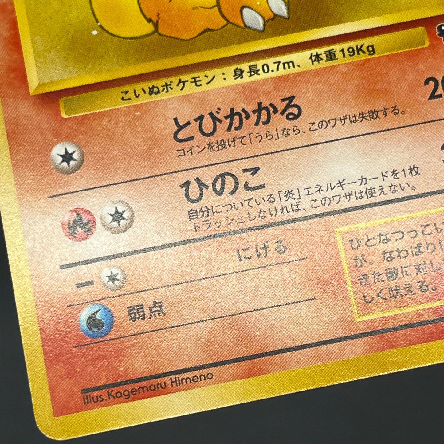 Growlithe 058 Intro Pack Squirtle Japanese Pokemon Card