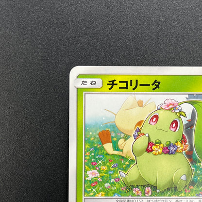 Chikorita 373/SM-P Promo Card Station event Pokemon Card