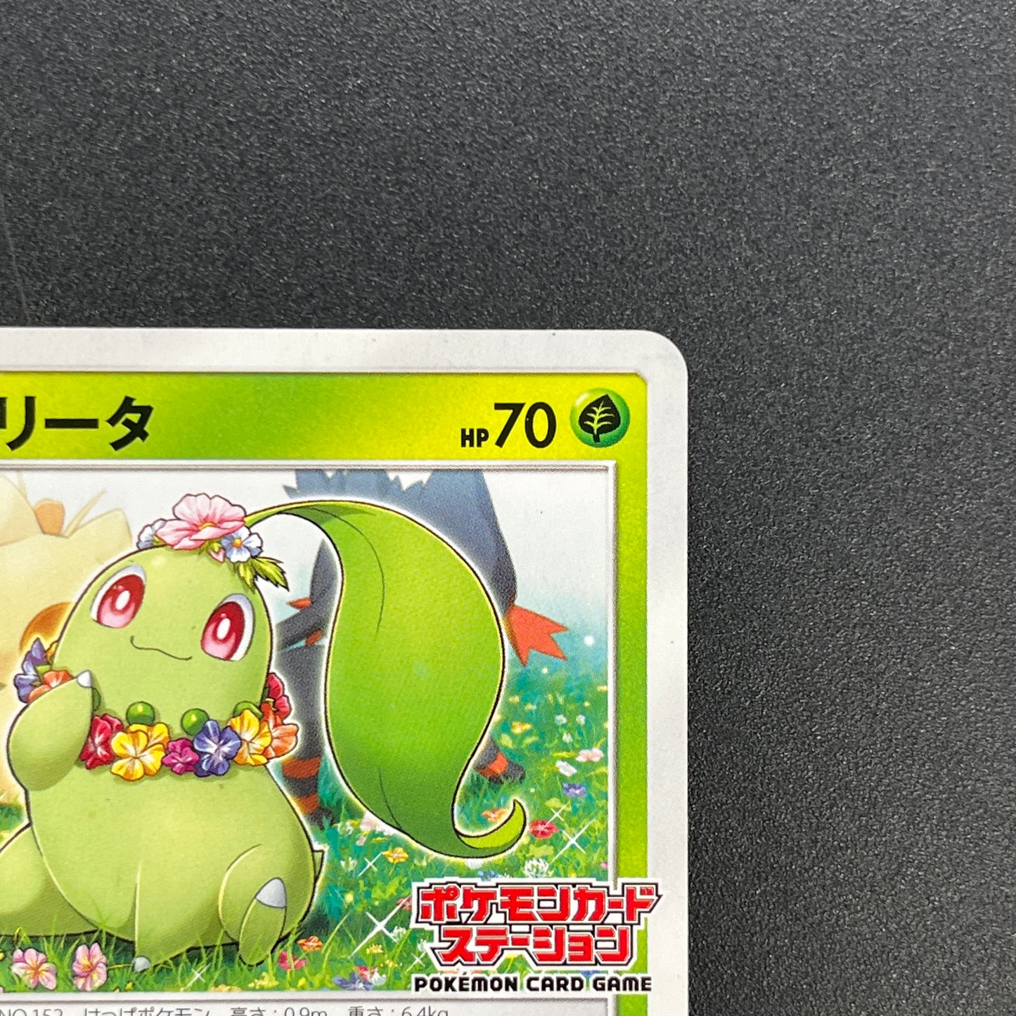Chikorita 373/SM-P Promo Card Station event Pokemon Card