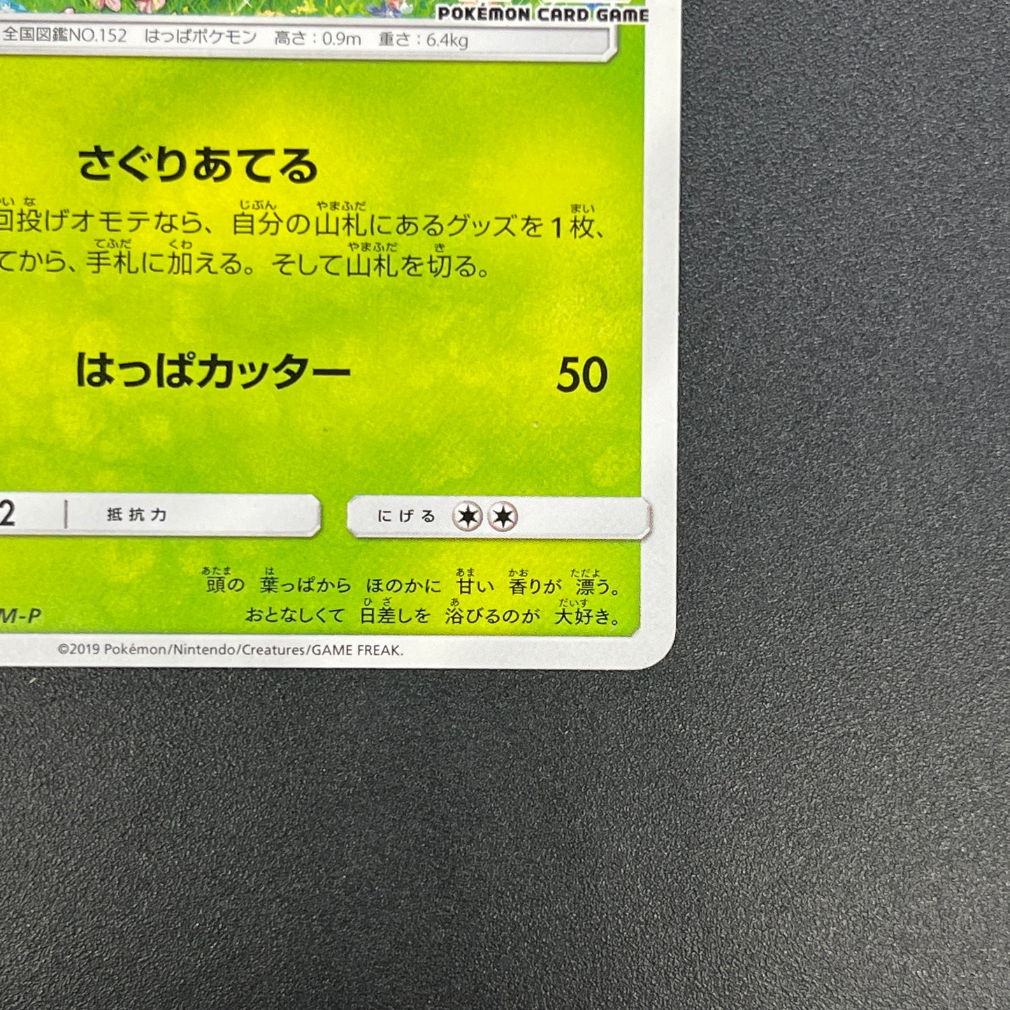 Chikorita 373/SM-P Promo Card Station event Pokemon Card