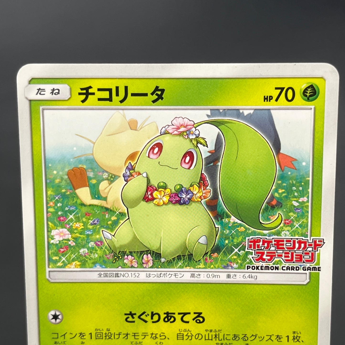 Chikorita 373/SM-P Promo Card Station event Pokemon Card