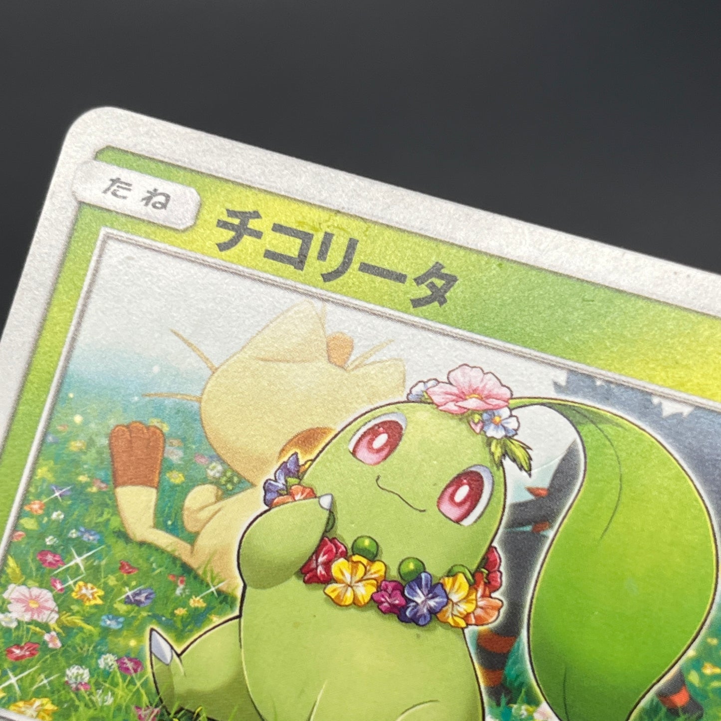 Chikorita 373/SM-P Promo Card Station event Pokemon Card