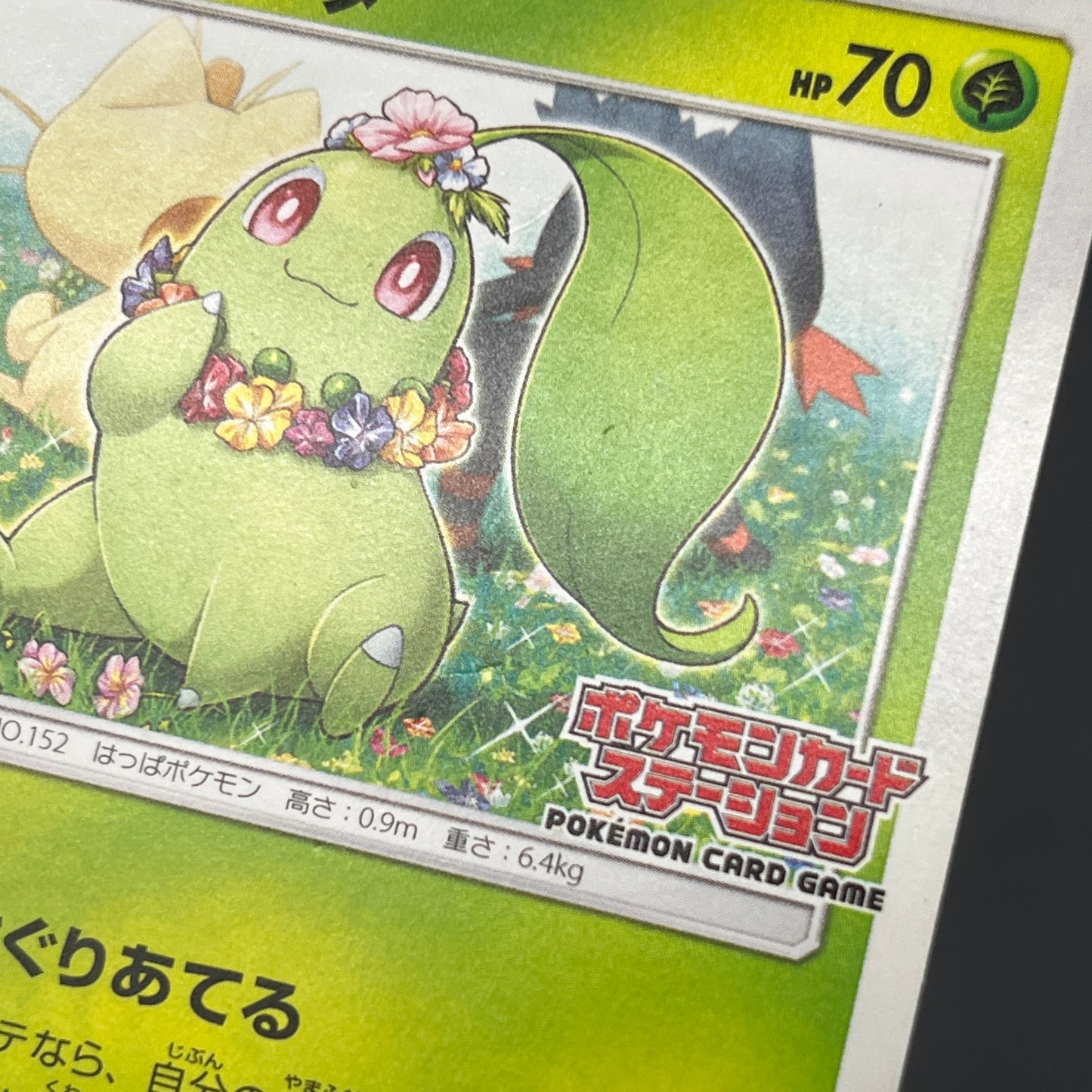 Chikorita 373/SM-P Promo Card Station event Pokemon Card