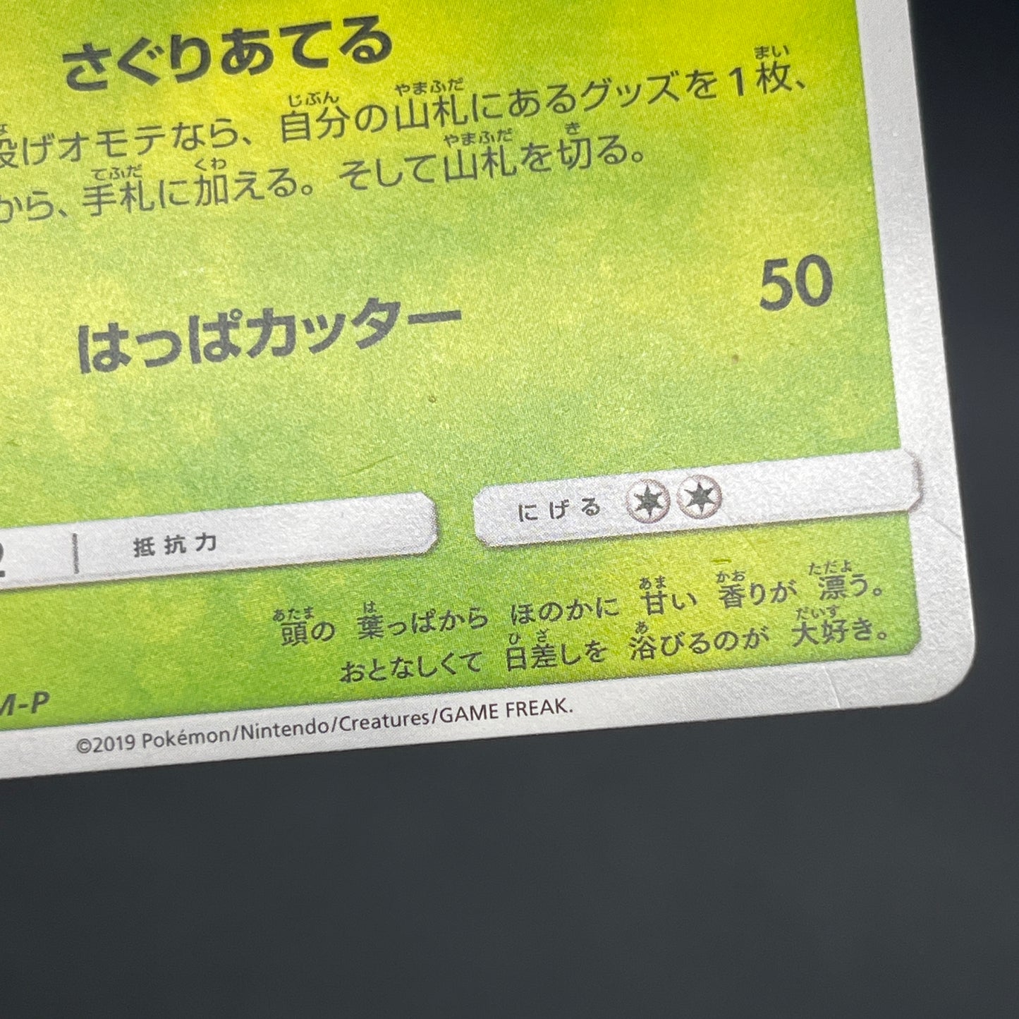 Chikorita 373/SM-P Promo Card Station event Pokemon Card