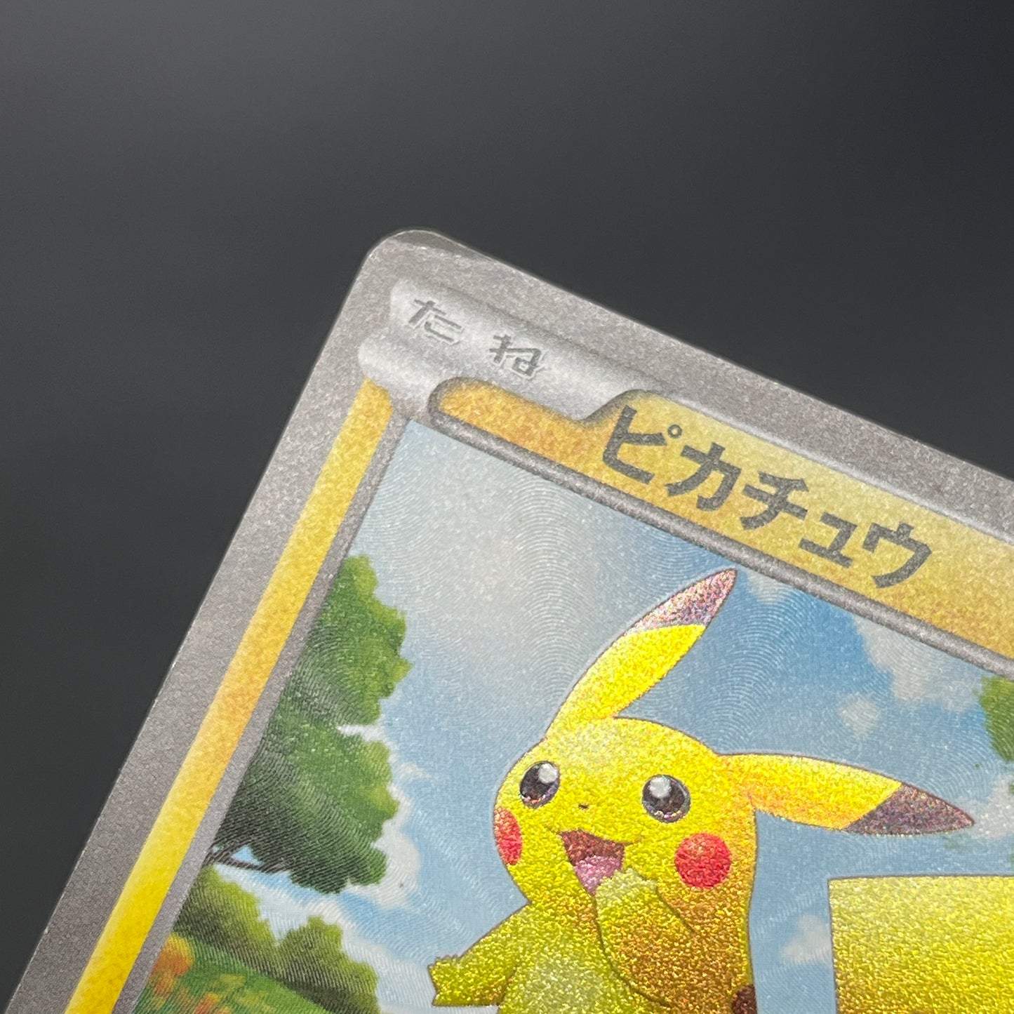 Pikachu 056/053 White Collection BW1 Japanese Pokemon Card
