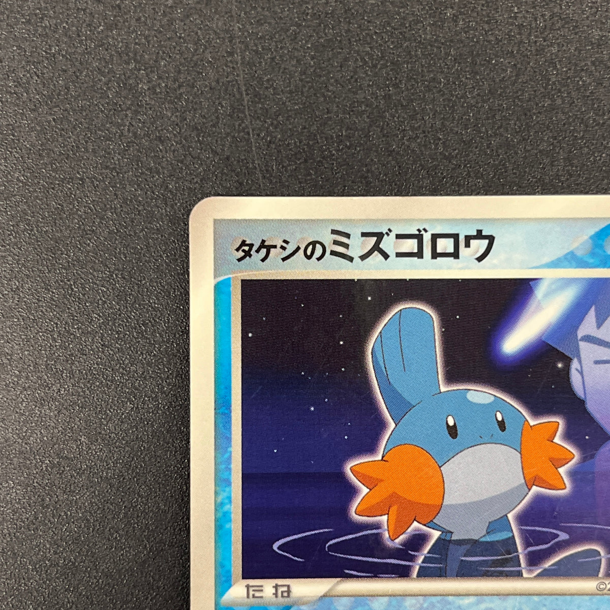 Brock's Mudkip 038/ADV-P Shogakukan Elementary Promo Card