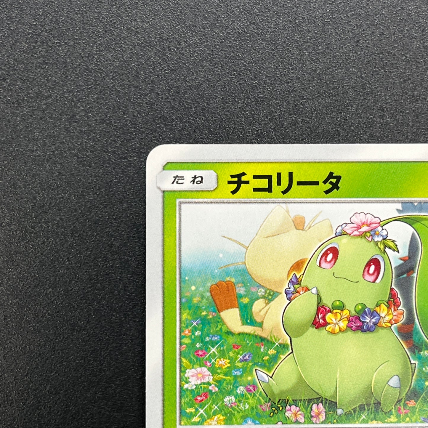 Chikorita 373/SM-P Promo Card Station event Pokémon Card