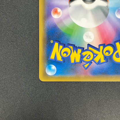 Chikorita 373/SM-P Promo Card Station event Pokémon Card