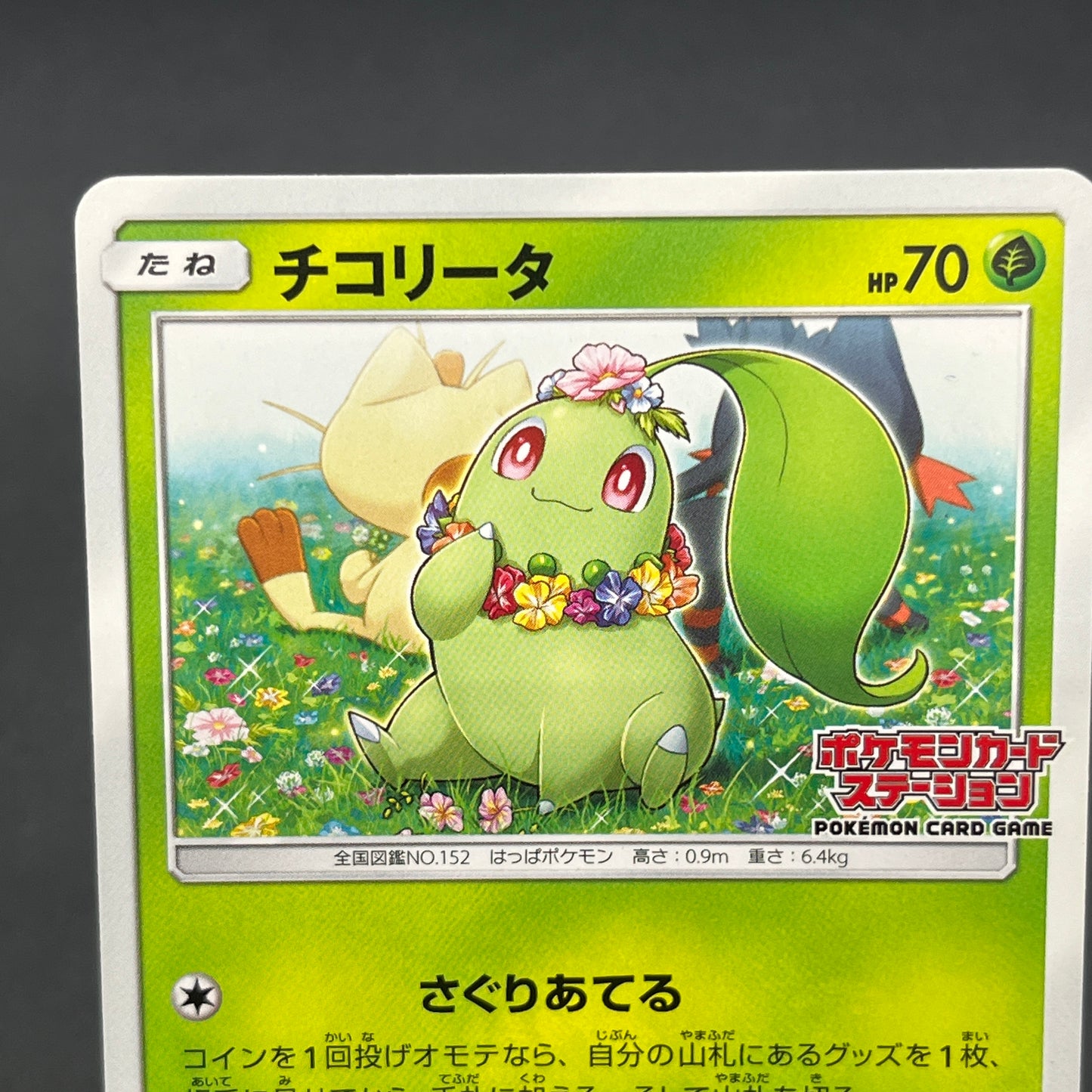 Chikorita 373/SM-P Promo Card Station event Pokémon Card