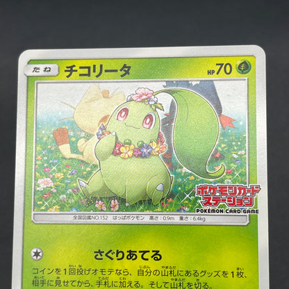 Chikorita 373/SM-P Promo Card Station event Pokémon Card