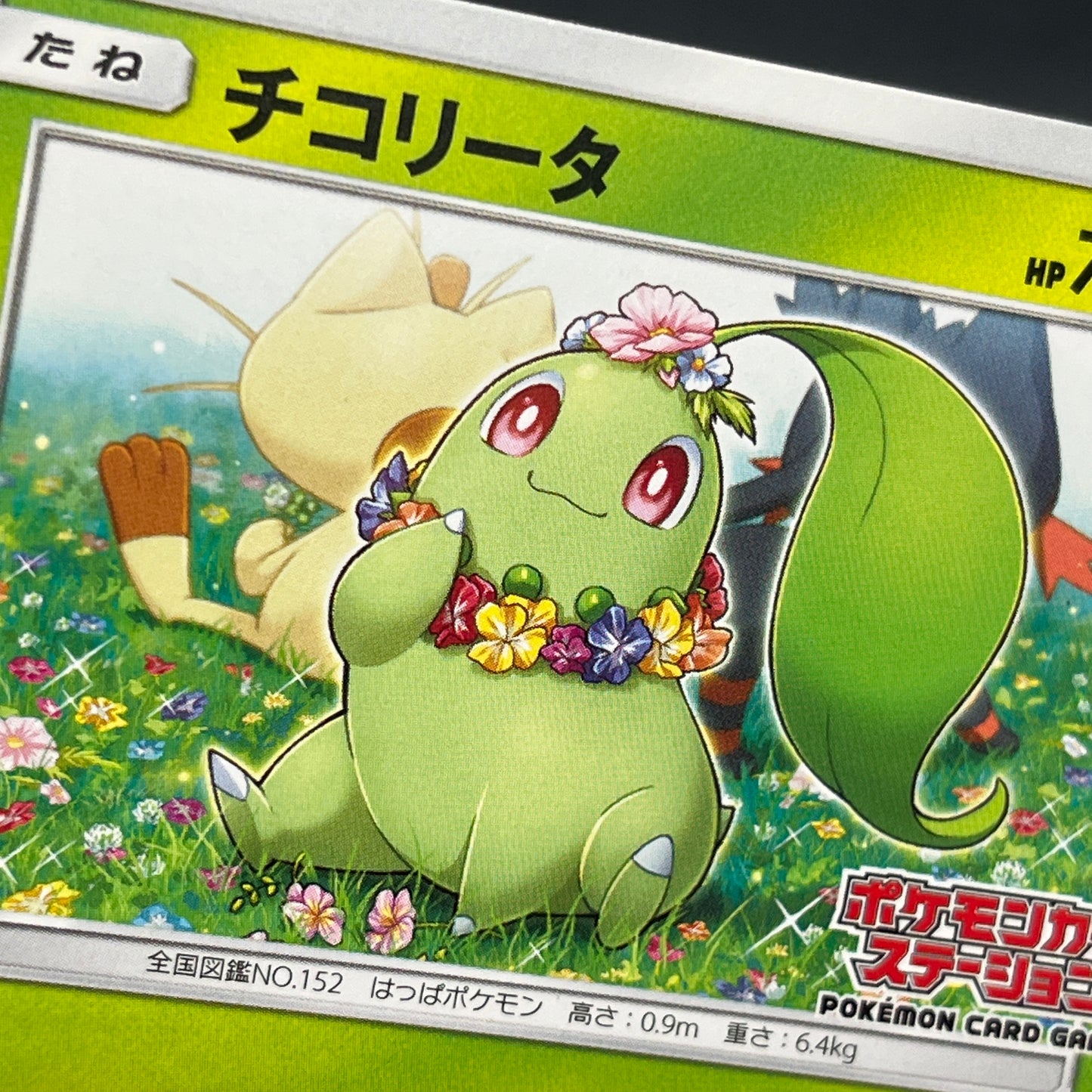 Chikorita 373/SM-P Promo Card Station event Pokémon Card