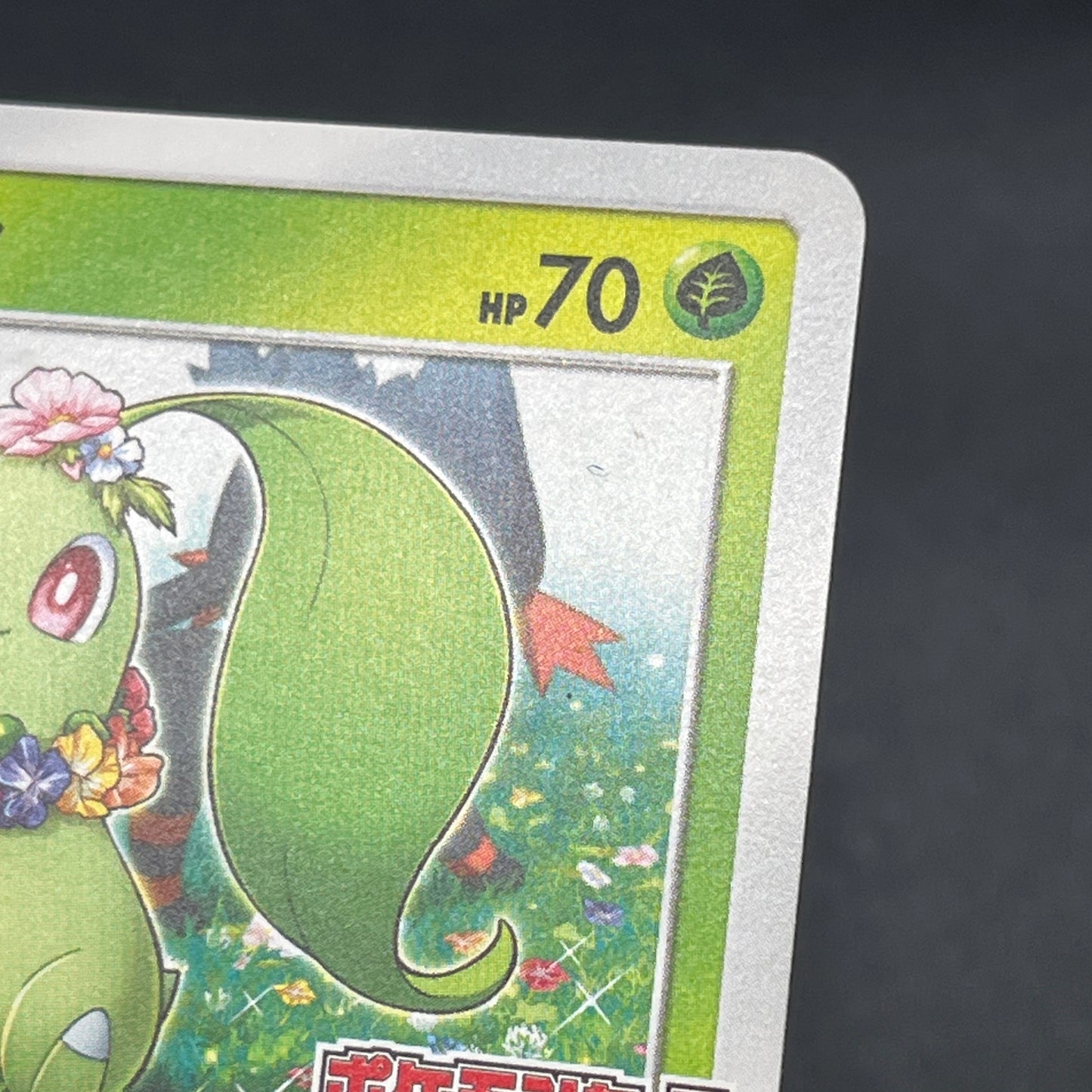 Chikorita 373/SM-P Promo Card Station event Pokémon Card