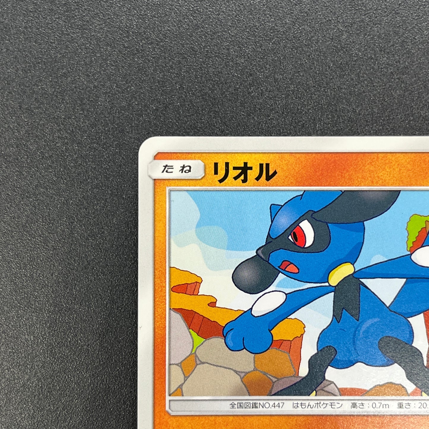 Riolu 159/SM-P Promo Gym 3rd December Pokémon Card