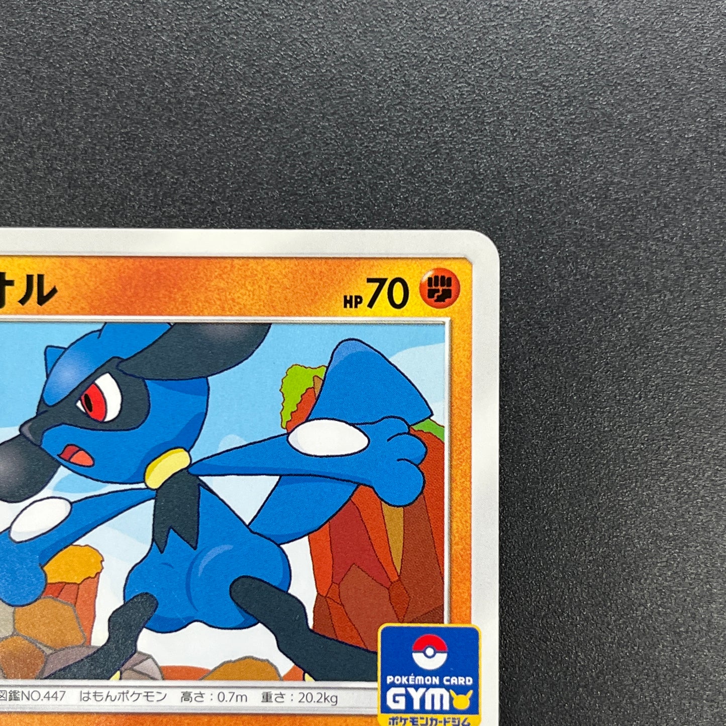 Riolu 159/SM-P Promo Gym 3rd December Pokémon Card