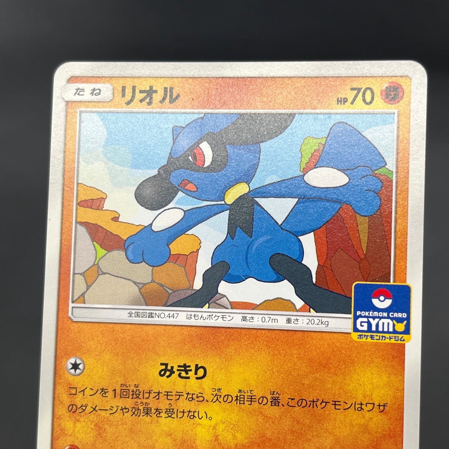 Riolu 159/SM-P Promo Gym 3rd December Pokémon Card