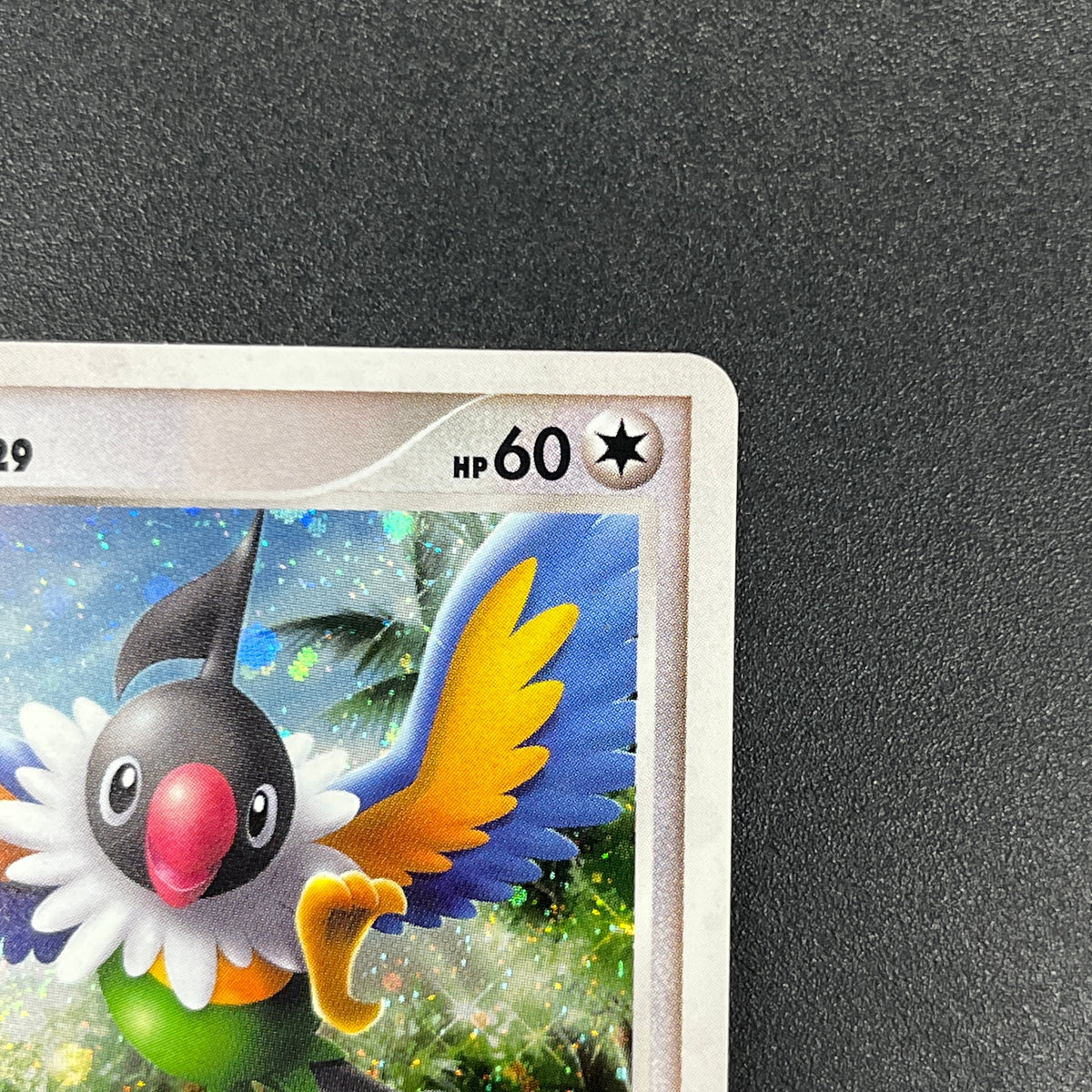 Chatot 032/DPt-P Challenge Hiroba Promo Pokémon Card