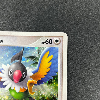 Chatot 032/DPt-P Challenge Hiroba Promo Pokémon Card