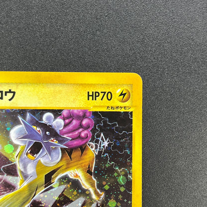 Raikou 039/088 e Skyridge Holo Japanese Pokemon Card